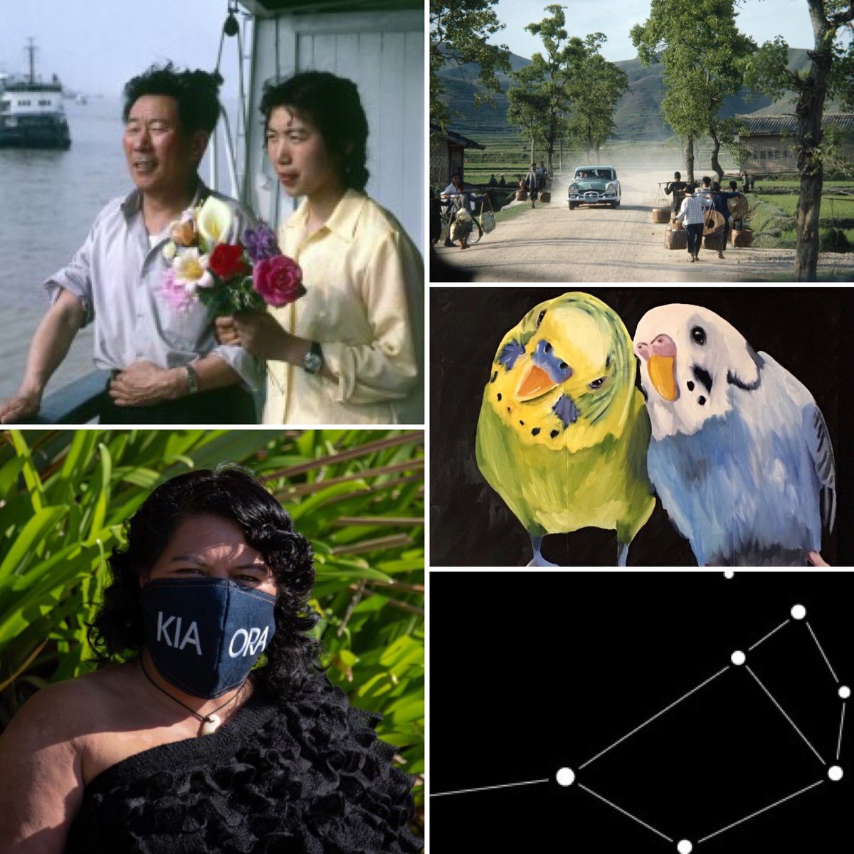 WaihekeArtGal's tweet photo. a quick glimpse of thought provoking and beautiful exhibitions coming up in the next few months #lookingforward #heedthepast #supportlocal #matariki #geoffstevens #diwest #rewialley https://t.co/la9idLMP9a
