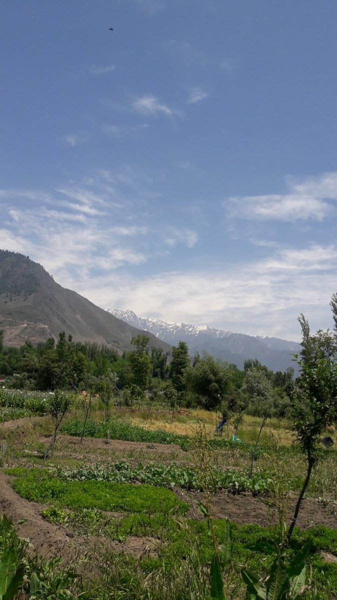 BhatAjaz16's tweet photo. My beautiful village...
#Sorrounded
#fields
#snow clad
#mountains https://t.co/pRNMbZkLuy