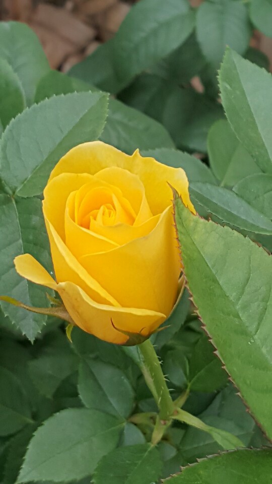 H. D. Kang 행복비결 tweet media