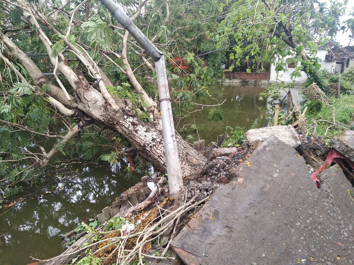 CrazySwiftSwag's tweet image. Road Conditions infront of my house 😖 50% trees broken down in pieces #AmphanCyclon #CycloneAmphanUpdate