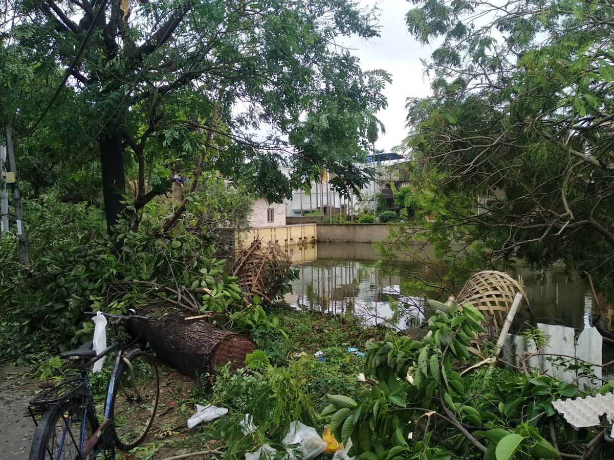 CrazySwiftSwag's tweet image. Road Conditions infront of my house 😖 50% trees broken down in pieces #AmphanCyclon #CycloneAmphanUpdate