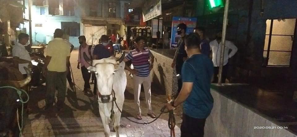 hyvbharuch's tweet photo. #जय_गौमता🙏🙏🚩🚩
अंकलेश्वर शहर की पुलिस टीम ने सूचना के आधार पर, मुल्लांवाड़ इलाके में कसाईखाने से 5 से 6 गायों का जीवन बचाया
अंकलेश्वर की पुलिस टीम ने रातो रात गौ माता के लिए घास-चारा मँगवाया और उनकी सेवा की🙏
बहुत बहुत धन्यवाद अंकलेश्वर पुलिस टीम
@BharuchPolice @GujaratPolice https://t.co/Jx0qu0hifG
