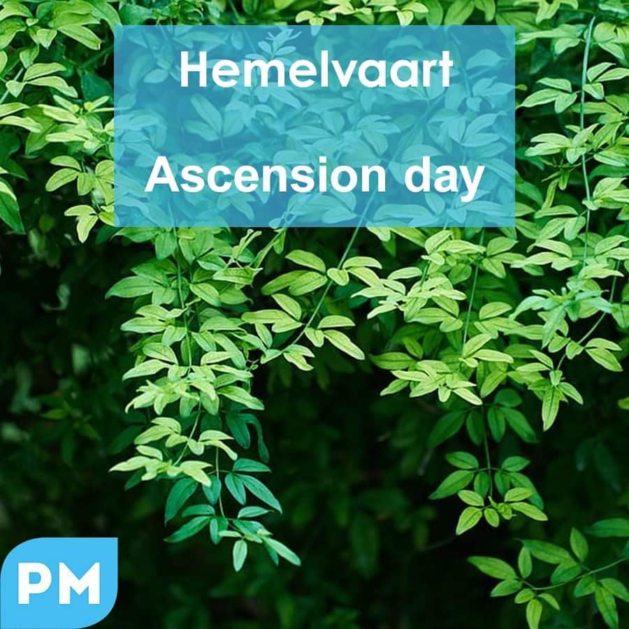 Omdat het vandaag Hemelvaart is, zijn we gesloten. Onze webshop is uiteraard wel gewoon beschikbaar! 2️⃣4️⃣/7️⃣
________________________________
Because today is Ascension day, we are closed. Our webshop is always open of course! 2️⃣4️⃣/7️⃣