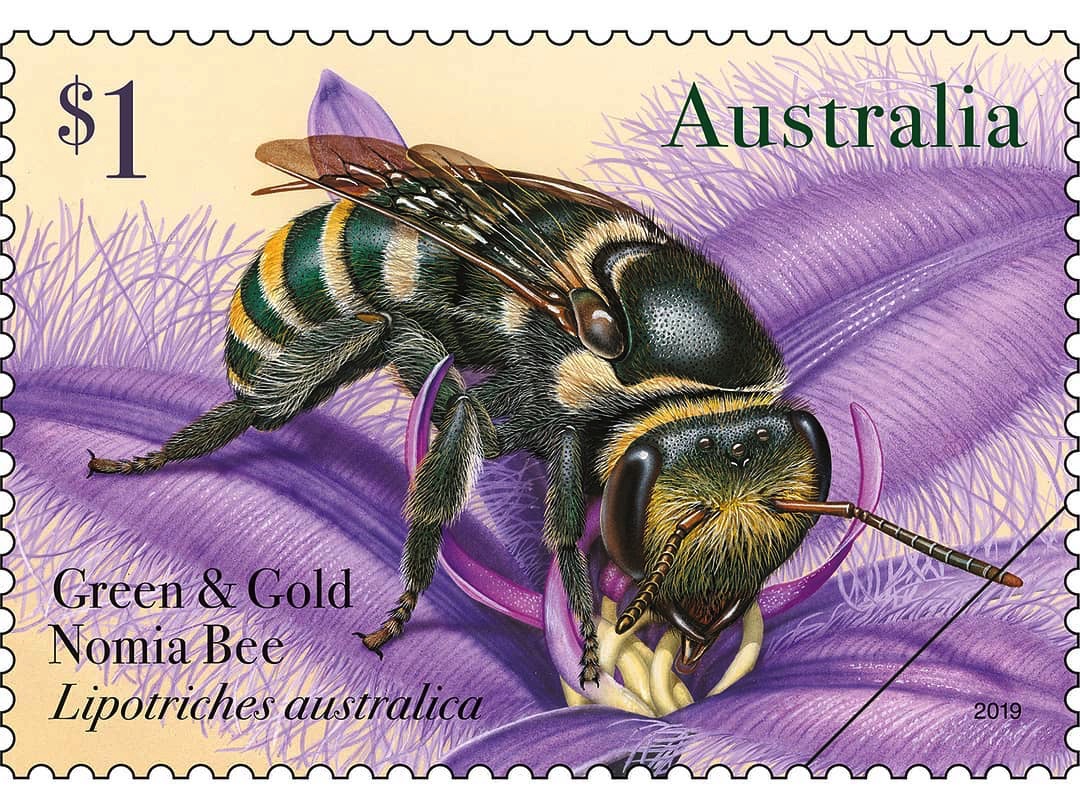 IsabellaKoldras's tweet photo. celebrating #WorldBeeDay with beautiful postage stamp featuring Australian native bees issued in May 2019 #AussieBee https://t.co/x1sAEvGhWX