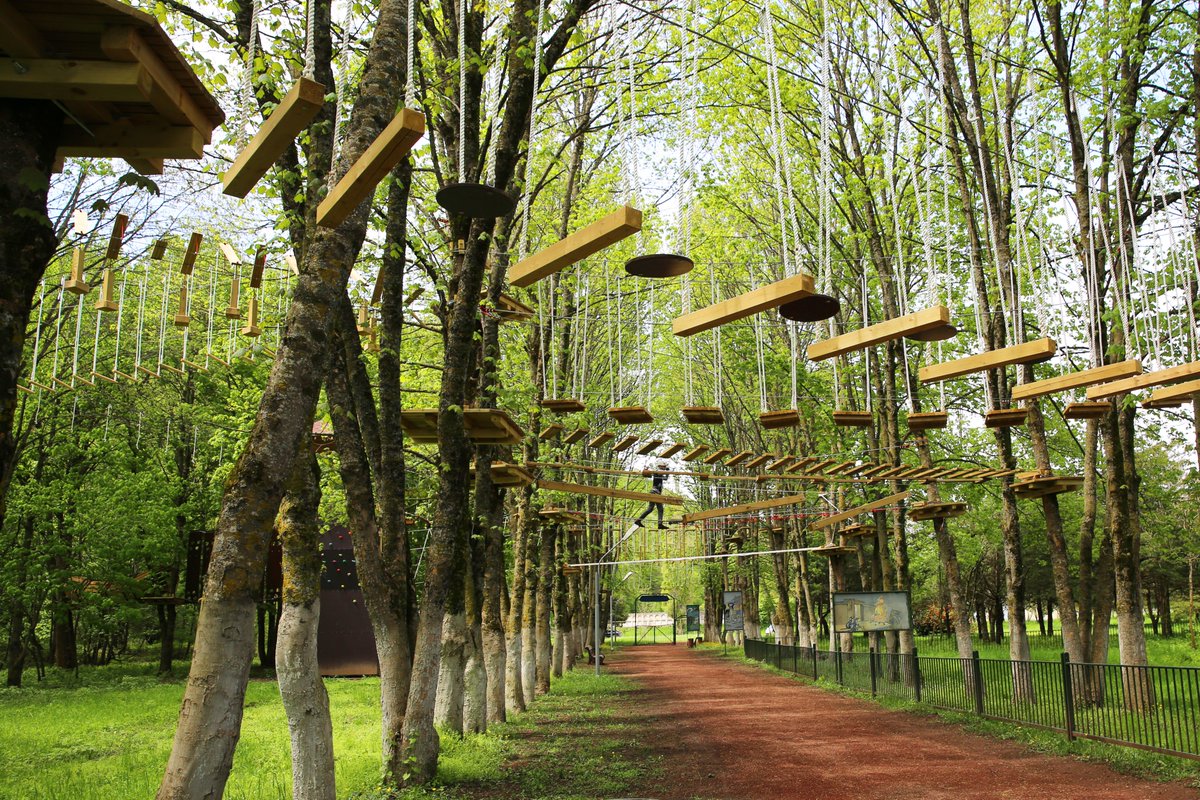 FutureArmenian's tweet photo. A new place in Dilijan for ecotourism and active sport lovers! #VereV Rope Park in Dilijan City park is a new model of social entrepreneurship with the aim at preserving the public green areas and creating a wonderful relaxing space. #IDeAFoundation #DilijanDevelopment https://t.co/jc8WljIO8y