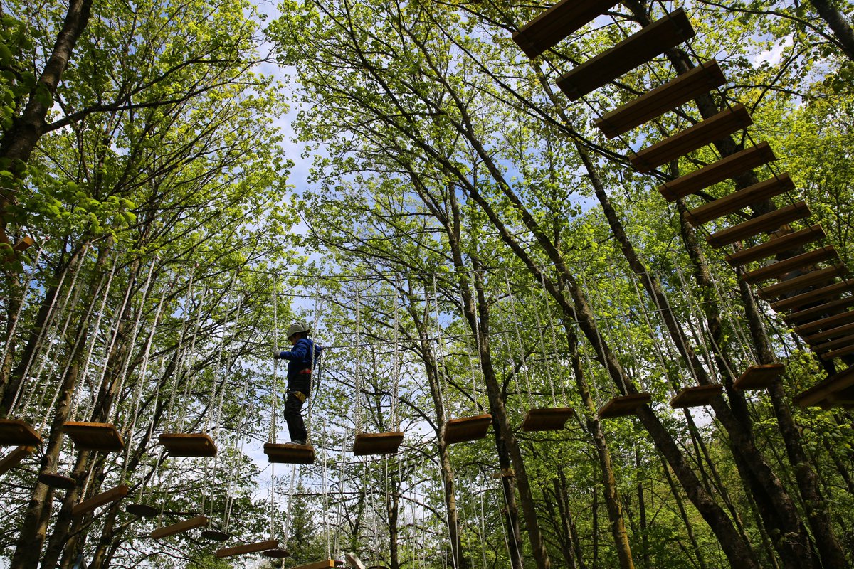 FutureArmenian's tweet photo. A new place in Dilijan for ecotourism and active sport lovers! #VereV Rope Park in Dilijan City park is a new model of social entrepreneurship with the aim at preserving the public green areas and creating a wonderful relaxing space. #IDeAFoundation #DilijanDevelopment https://t.co/jc8WljIO8y