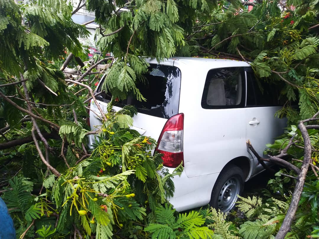 DhairyaVora_'s tweet photo. Some devastating photos of the effects of #AmphanCyclon 
.
#prayforwestbengal #Amphan #Amphan_Alert #Odisha #Bengal #WestBengal #kolkata #CycloneAmphan #Cyclone #CycloneAmphanUpdate #devastation #bhawanipur #MamtaBanerjee #mamatabanerjee #NarendraModi #storm #trees @TOIKolkata https://t.co/KNVyMR9mSy