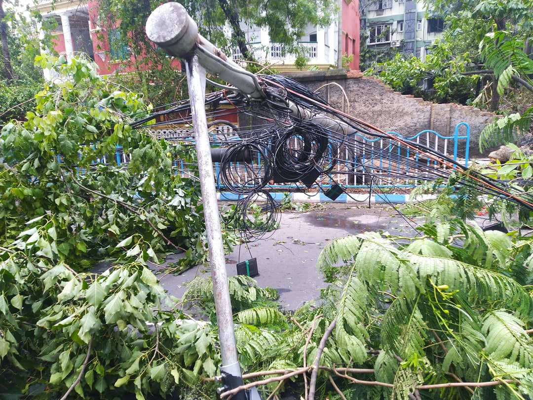 DhairyaVora_'s tweet photo. Some devastating photos of the effects of #AmphanCyclon 
.
#prayforwestbengal #Amphan #Amphan_Alert #Odisha #Bengal #WestBengal #kolkata #CycloneAmphan #Cyclone #CycloneAmphanUpdate #devastation #bhawanipur #MamtaBanerjee #mamatabanerjee #NarendraModi #storm #trees @TOIKolkata https://t.co/KNVyMR9mSy