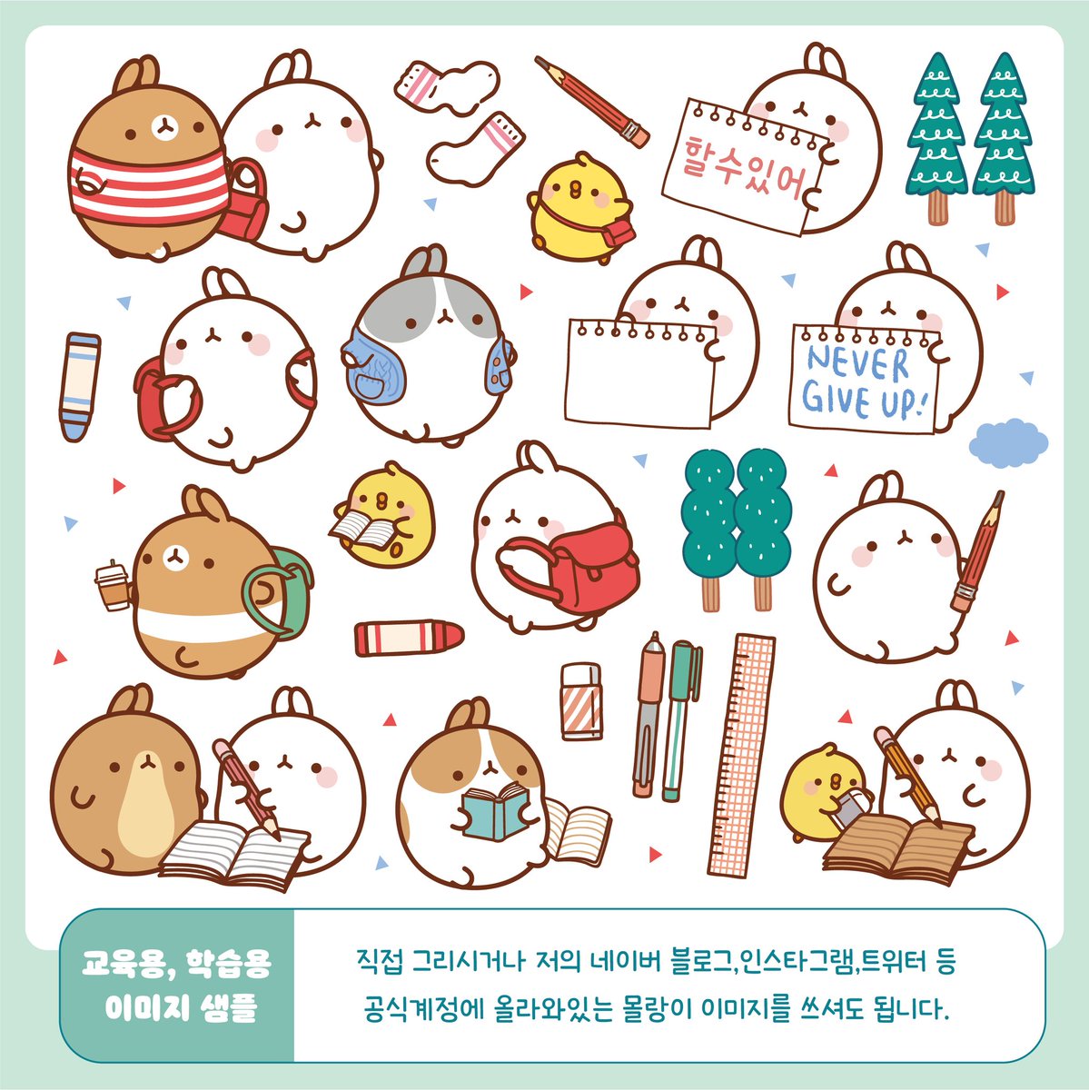 몰랑이작가🐰 tweet media