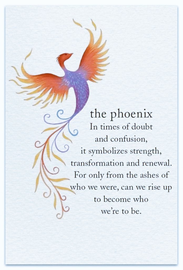 lorax58's tweet photo. My birth Soul Sign is the Phoenix.
An ancient Mocking Jay???
Kindred of Eagles, Hawks, Falcons...
#HungerGames2020
#MockingJaysMaskUpStayVigilant
#Loraxing🙏 https://t.co/0zCF92T8n2