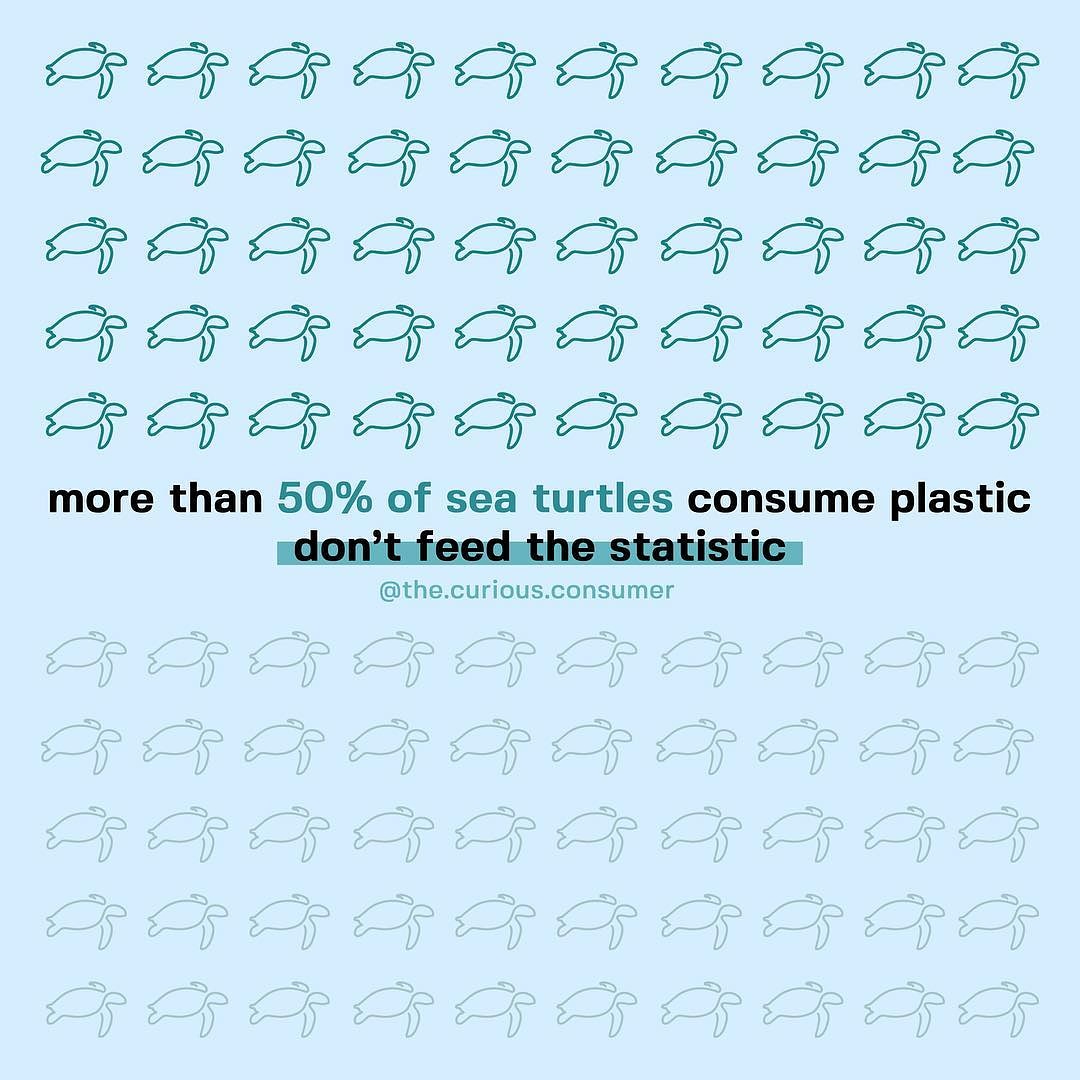 TCCofficialpage's tweet photo. More than 50% don't feed the statistic!

Make your switch to plastic-free reusables @ https://t.co/QFnz7ycIWq

#ecofriendly #sustainable #plasticfree #saynotoplastic #resuables #noplanetb #gretathunberg https://t.co/SQxerf2OZe