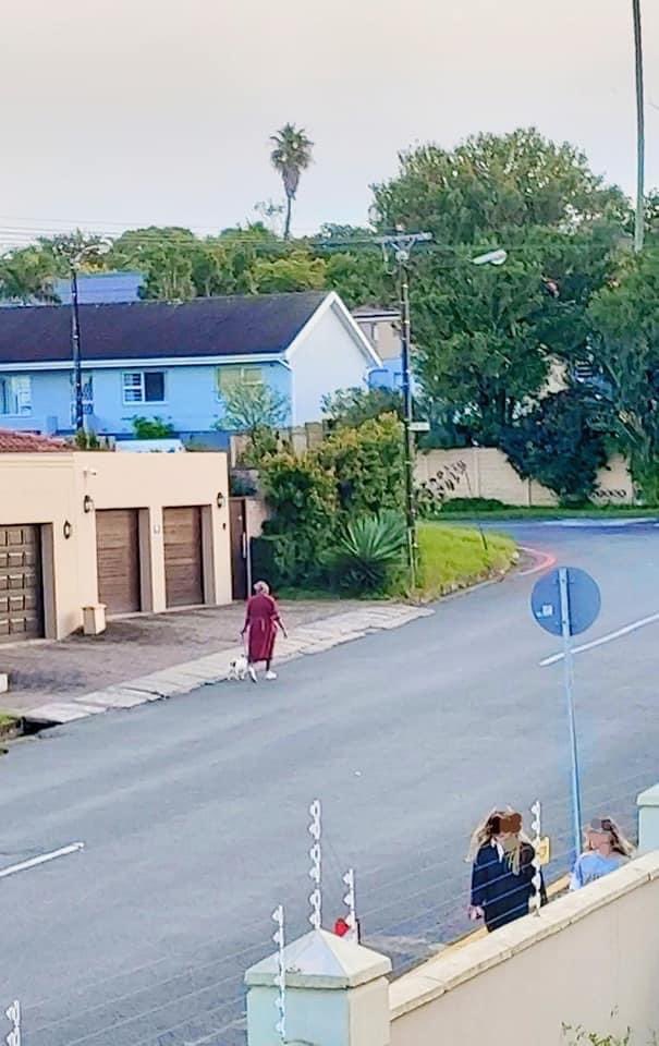 RamaboduObakeng's tweet image. Our Domestic workers are made to walk Dogs in the morning it looks like a 1980 picture, we have a long way to go .