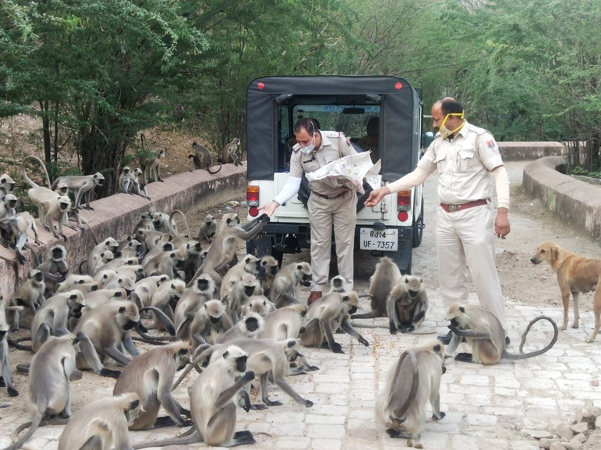 jaipur_police's tweet photo. यातायात पुलिस निरीक्षक श्री सुरेश स्वामी जी एवं उनकी टीम ने चांदी की टकसाल, धोबी घाट, गलता गेट आमेर व नाहरगढ़ क्षेत्र के बीहड़ और सुनसान क्षेत्रों में बेजुबान परिंदों और जानवरों के भोजन व पानी की व्यवस्था कर मानवता की मिसाल कायम की।  

#JaipurPolice #CoronaWarriors #HearTheUnherd https://t.co/COwP2gzDfS