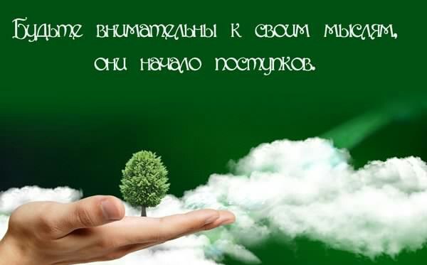 #мудрость