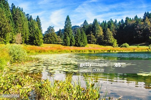 Gregory_DUBUS's tweet photo. Le lac #Genin petit Canada dans le département de l'#Ain
📷 @Gregory_DUBUS
➡ Voir plus : https://t.co/usMjnnBTzj
Disponibles à l'impression, me contacter...
#LacGenin #JeSuisDansLAin #InstantDansLAin #IciCestLAin #lake #MagnifiqueFrance #GettyImagesContributor #iStockTravelers https://t.co/Olr8sWSmhJ