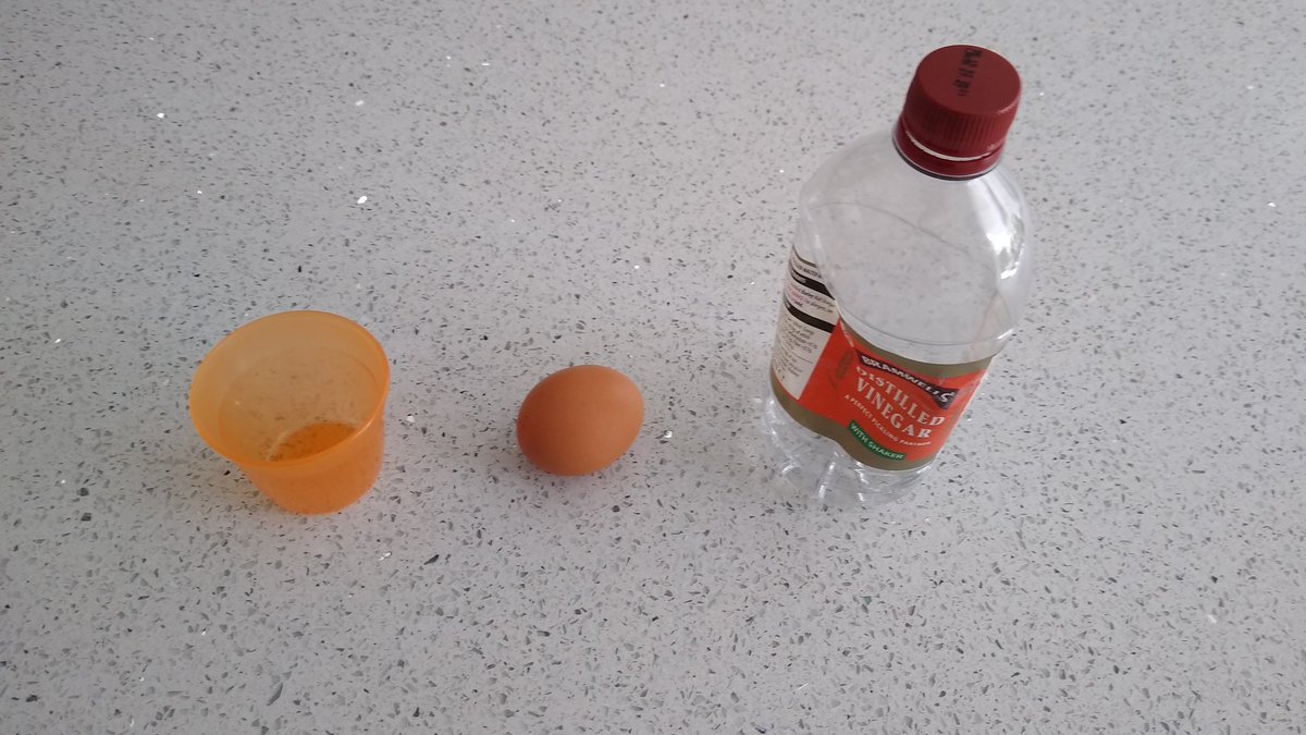 IoanSmith's tweet image. @AdelPrimary eggsperimenting yesterday and today. #bouncingegg experiment with Matthew and Caitlin