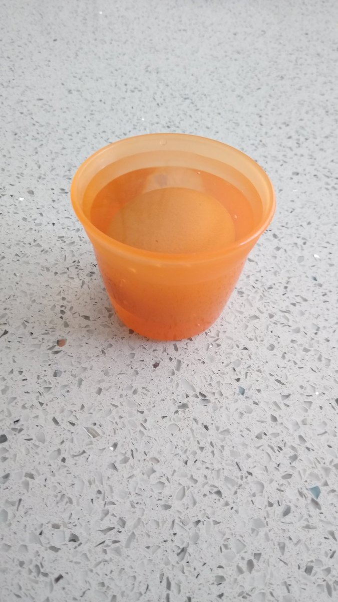 IoanSmith's tweet image. @AdelPrimary eggsperimenting yesterday and today. #bouncingegg experiment with Matthew and Caitlin