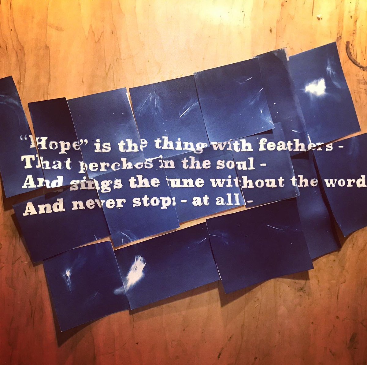 Also testing some hand draw text for a Cyanotype mural using Emily Dickinson’s ‘hope is the thing’ printed on vintage pillow cases hand embellished by a friends grandmother.  #cyanotype  #poetry  #mural