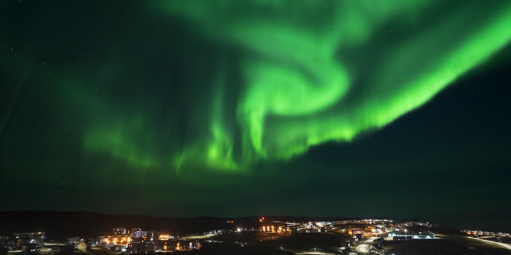 NICHE Canada tweet media