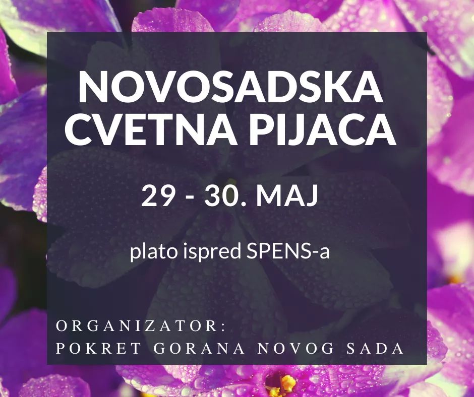 🌳🐞🌺🌲💮🎁