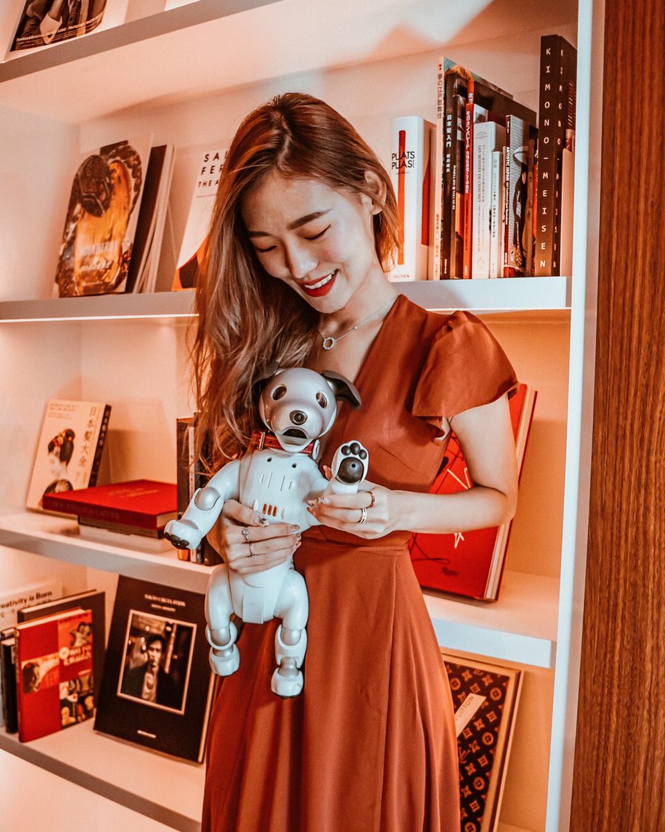 HyattCentricGNZ's tweet photo. A friendly face at our #librarylounge 🐶 #aibo Roc and our hosts are ready to welcome you when the right time comes ☀️ #hyattcentricginza #ハイアットセントリック銀座
.
Lovely 📸 last year by @ricejasminee https://t.co/sJnqoQRI99
