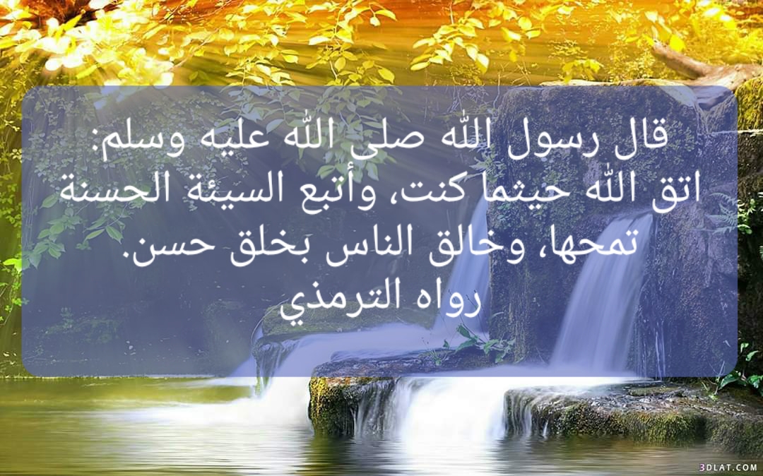 MakkahCalendar's tweet photo. #RamadanMubarak #Ramadan #Ramadan1441 #Ramadan2020 https://t.co/7fgtahWfRL