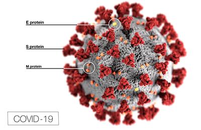 UoSChem_ChemEng's tweet image. ANTIVIRAL |

This is a model of #coronavirus
See the M protein? 

Prof. Khalid @unisouthampton is using #multiscale #modelling and #simulations to understand and make predictions about M protein

If we can understand it, we can create a vaccine 

More: ow.ly/X2Xd50zMyyd