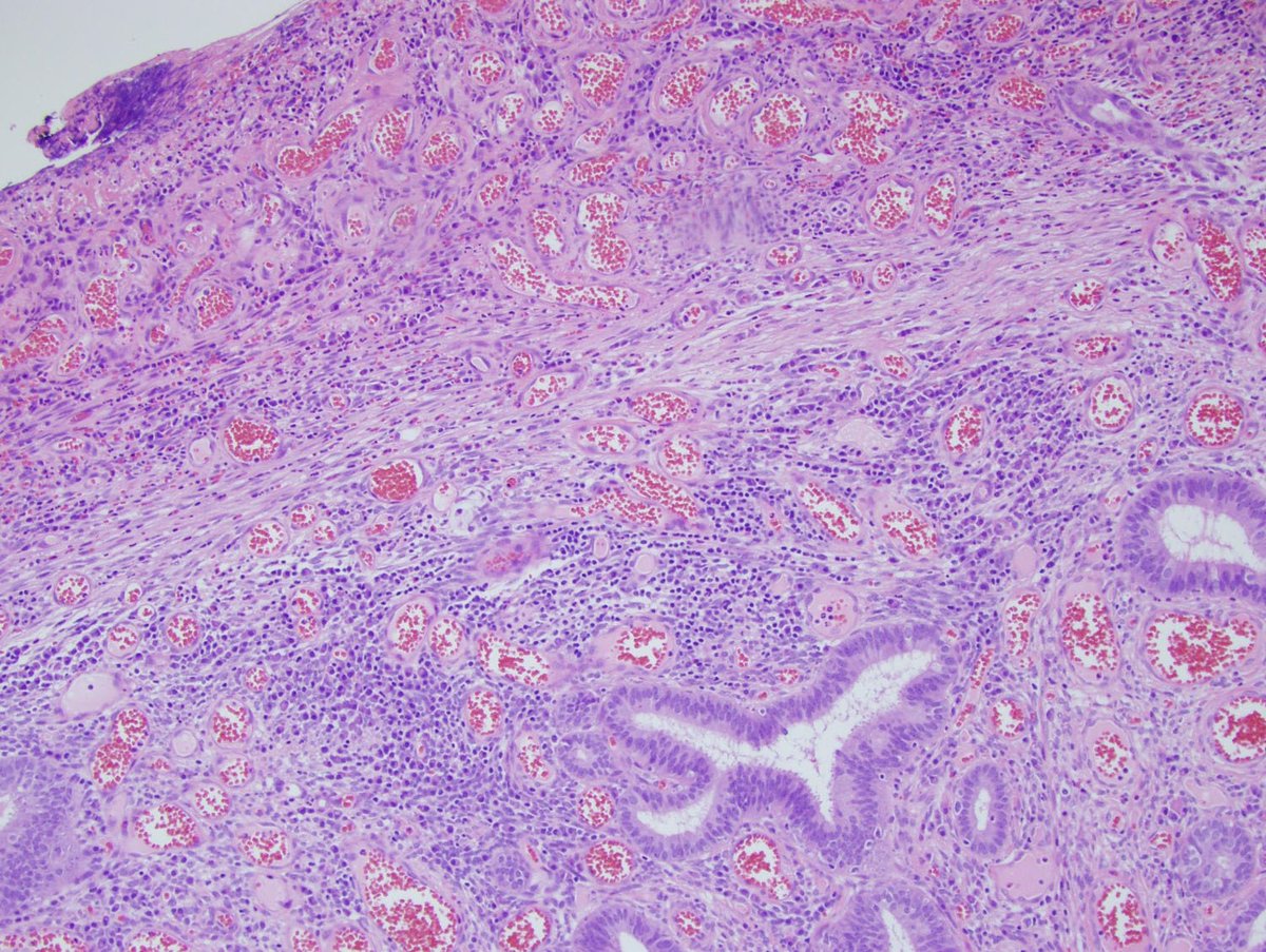 Pathology_2020's tweet photo. @Pathology_2020 
#Molecular #Pathology
#OnlineConference

Submit your #Abstracts at: https://t.co/B5gUiCmO9y to confirm your slots &amp; visit: https://t.co/UMa0Rre93o to know more about the conference

#pathology #conference #molecular #path #science #research #medical #biolife https://t.co/3WsIizLvMR