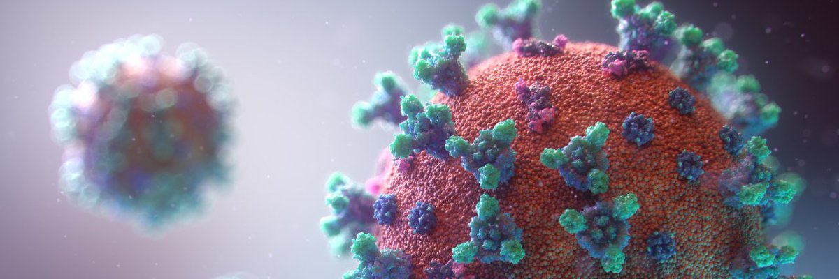 Floating Ocean Ecosystems tweet media