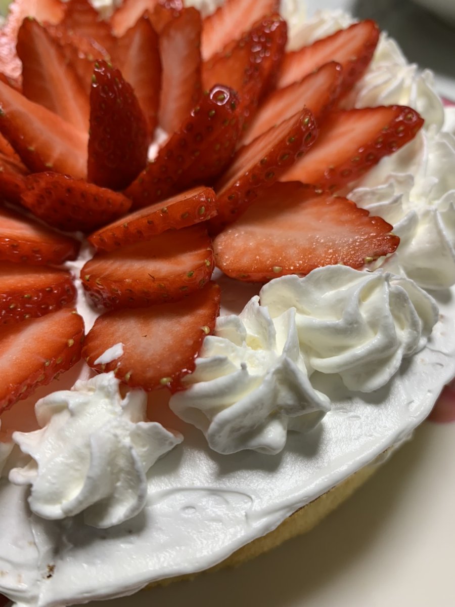 市販のスポンジケーキ Twitter Search