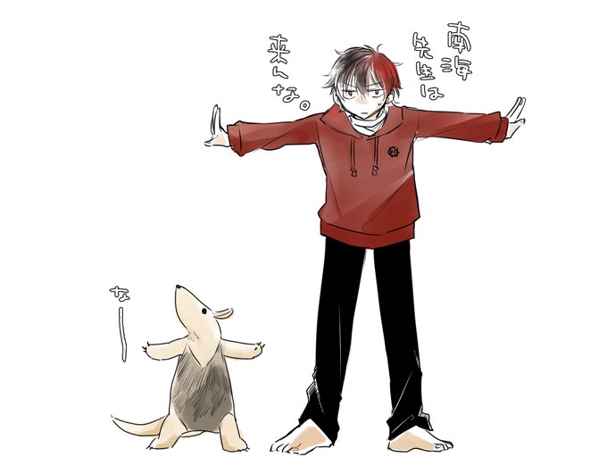 アリクイの威嚇のtwitterイラスト検索結果