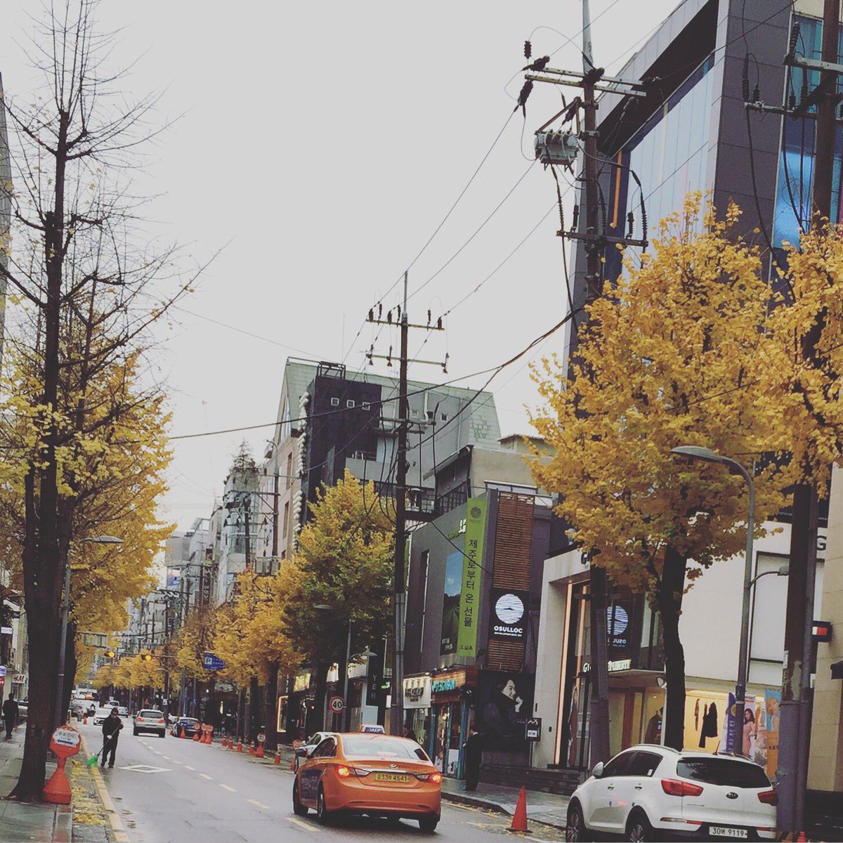 isLeila's tweet photo. 秋天的首爾就是如此的美麗，即是只是在街上閑晃，都是這麼動人的顏色

#VisitKorea #KoreaTrip #韓國想見你 #신사동 #서울 https://t.co/Qr43ae81rL