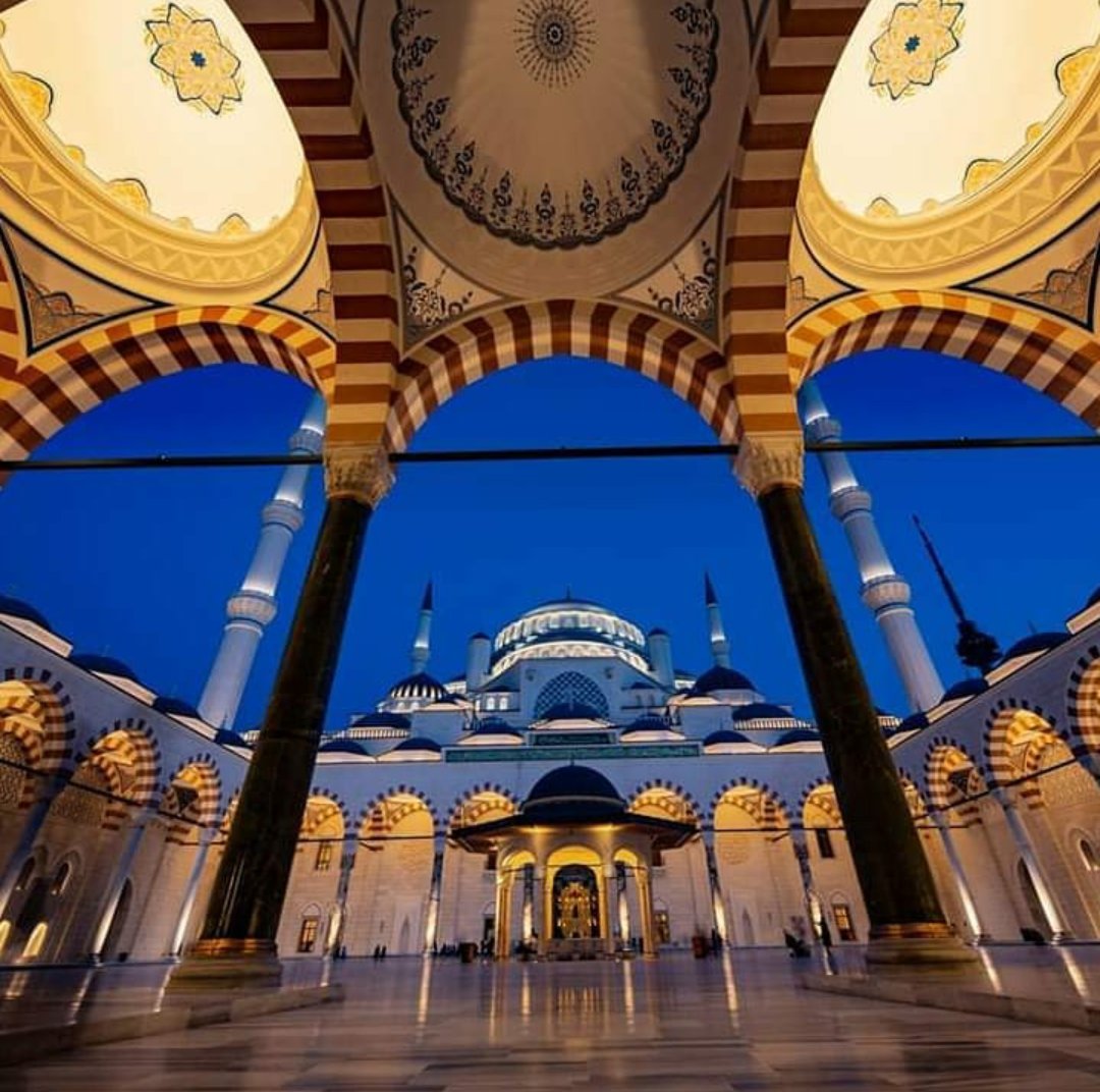 Mescitler şüphesiz Allah’ındır. Öyleyse oralarda Allah’a yalvarırken başkasını katmayın. 

(Cin Suresi 18. Ayet)

#camilerkırmızıçizgimiz