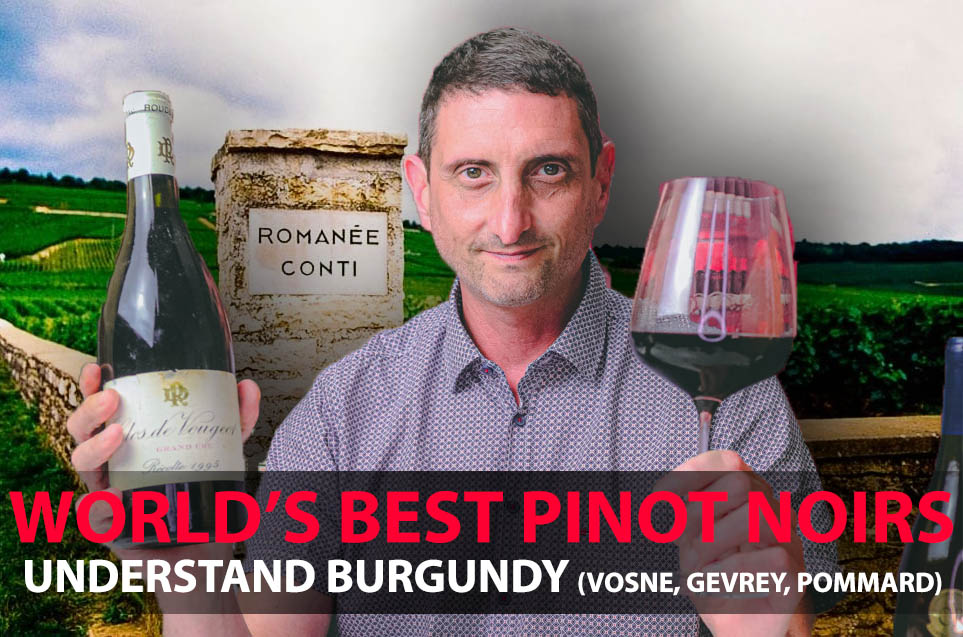 Julien Miquel #Wine (@jmiquelwine) on Twitter photo Time to bring your #wine game to the next level.
Understand the style difference between Vosne-Romanée, Pommard, Gevrey-Chambertin, or Chambolle-Musigny!?
About The Finest Burgundy Wines, Your Guide to Top Pinot Noirs, In Video♥🍷📽
👉 youtu.be/zzQ6ksNwjjY
With <a href="/AltiWine/">Alti Wine Exchange 🍷</a> Time to bring your #wine game to the next level.
Understand the style difference between Vosne-Romanée, Pommard, Gevrey-Chambertin, or Chambolle-Musigny!?
About The Finest Burgundy Wines, Your Guide to Top Pinot Noirs, In Video♥🍷📽
👉 youtu.be/zzQ6ksNwjjY
With <a href="/AltiWine/">Alti Wine Exchange 🍷</a>