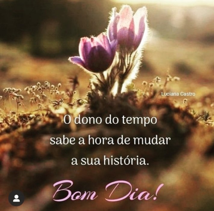 Gilcélia⚘ on Twitter: Gilcélia⚘ on Twitter: