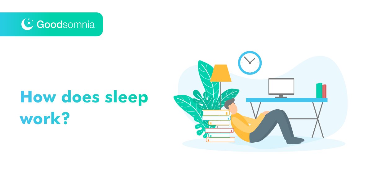 goodsomnia's tweet photo. Despite your somewhat unconscious state of mind, your brainwave patterns work the graveyard shift as well, making up the definition of what we call a night’s sleep. So how does sleep works? know here https://t.co/fT42LcNrwK

#sleep #sleeping https://t.co/U49BfskmKZ