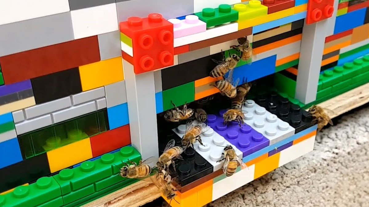 Yesterday was 🐝World Bee Day🐝 (20 May 2020)
There is one man who took lockdown creativity to the next level!

#Beehives #TellYourFriends

Follow the link to find out more:
ecosouthafrica.org/blog/lego-beeh…