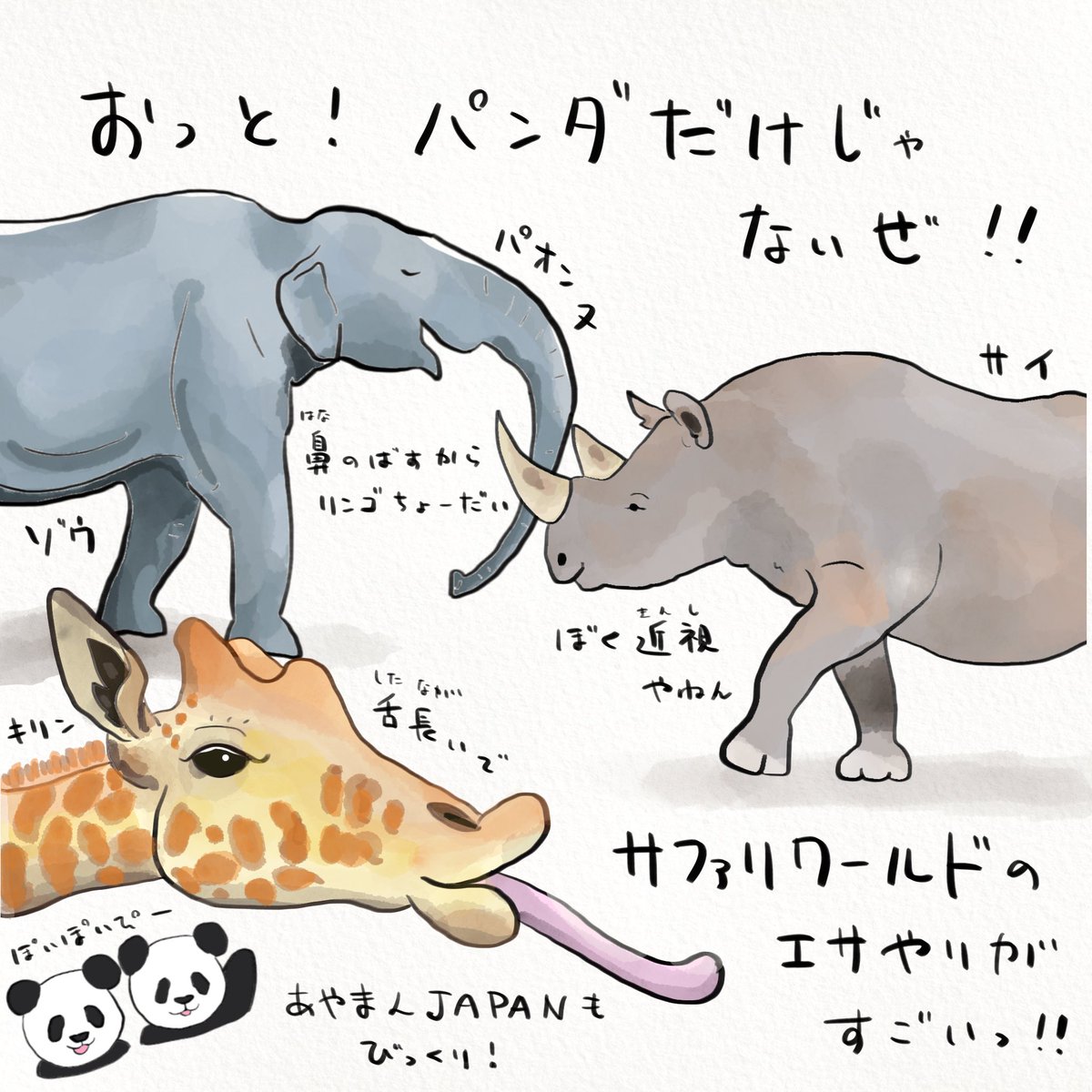 パンダもすごいがパンダだけじゃない!
陸海空すべての動物に会えるアドベンチャーワールド。落ち着いたら県外の皆さんも動物たちに会いに行ってみてね?(2/2) 