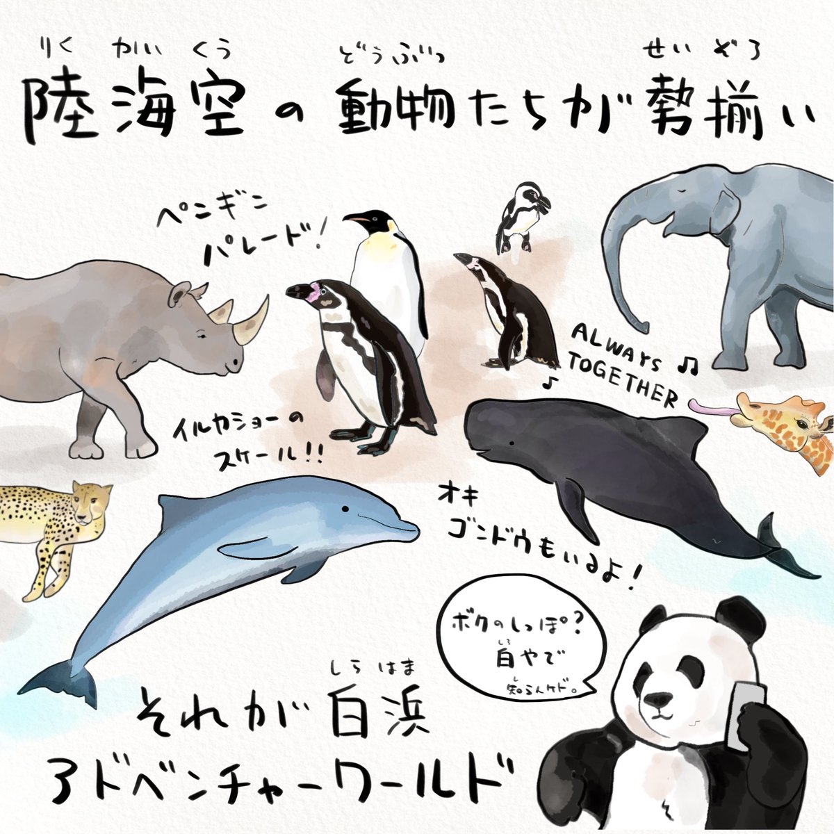 パンダもすごいがパンダだけじゃない!
陸海空すべての動物に会えるアドベンチャーワールド。落ち着いたら県外の皆さんも動物たちに会いに行ってみてね?(2/2) 