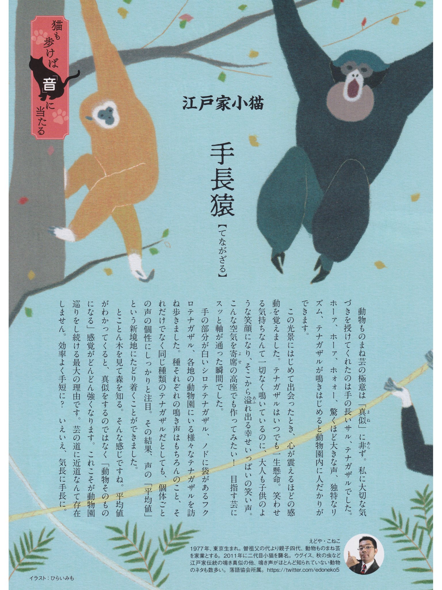 江戸家小猫 Nhk俳句 Nhkテキスト 12月号 猫も歩けば 音 に当たる No 09 イラスト ひらいみも 俳句の季語にはこだわらず 動物の魅力を音で切り取るコラム 楽しんでいただけてますでしょうか 今回のテーマは 手長猿 です 今の小猫の芸につながる