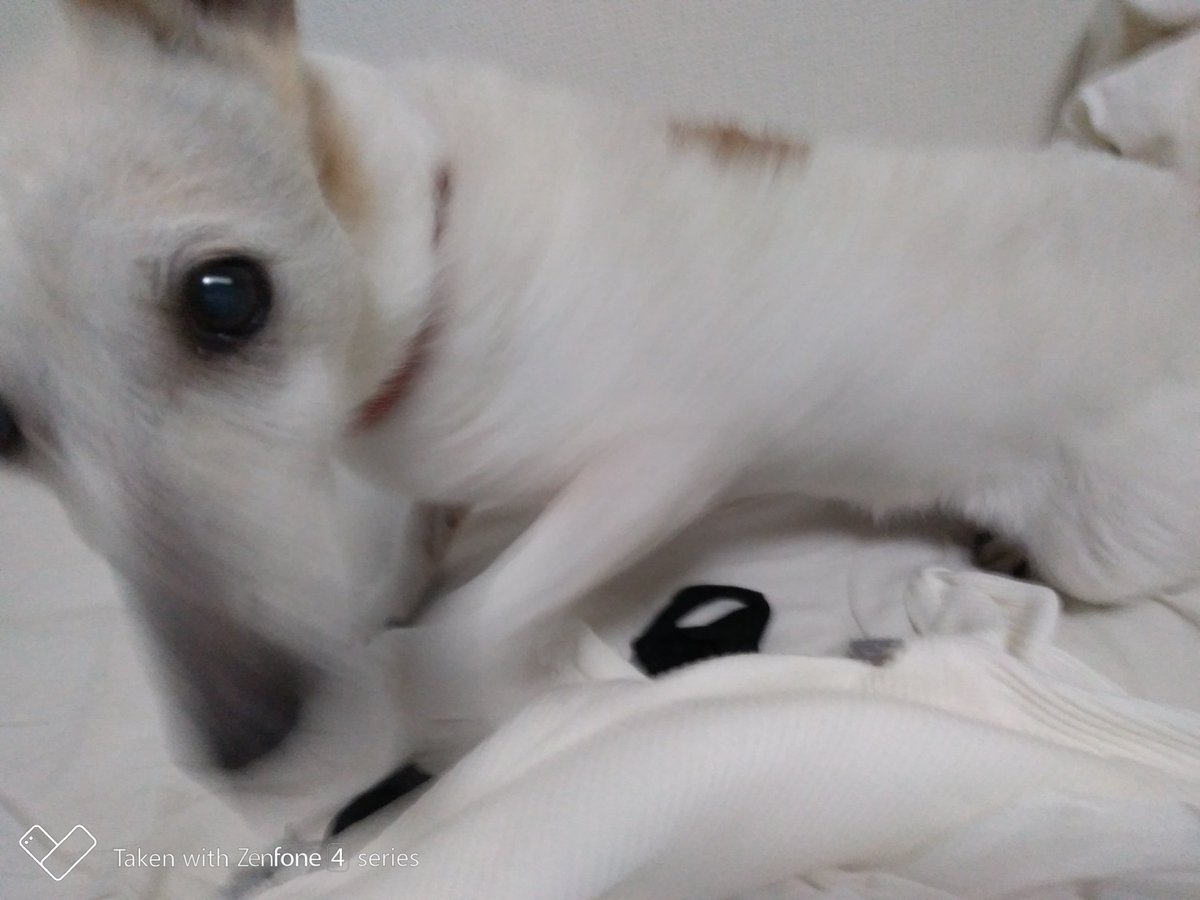 E8 A5 B2 8f 81 81 84 81 Twitter Search