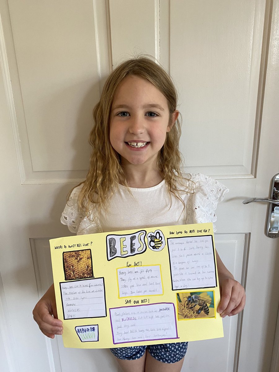 MeeliesAmy's tweet photo. @GorseyY2 Storyboards, origami, Bees poster, Resilience Umbrella and story writing #learningfromhome #gorseyscience #gorseyphse #gorseyenglish https://t.co/QU1YS5SHsU