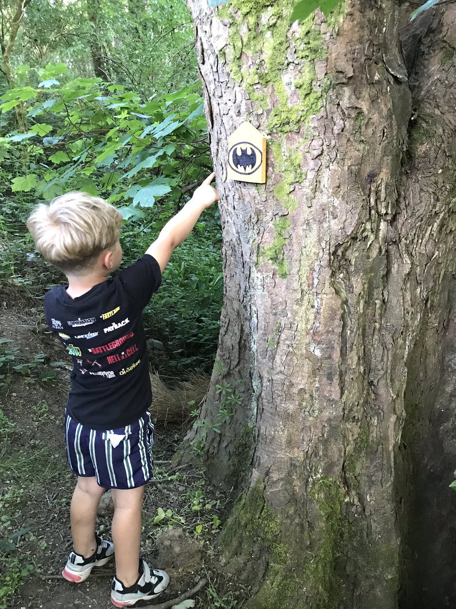 debiedwards25's tweet photo. Yesterday’s adventure in high field woods @highfield_st https://t.co/NoErCeEAjK