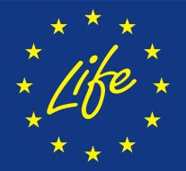 DREAm_Italia_EU's tweet photo. 🐦🦋🥳#HappyBirthdayLIFE🥳🌾🐸
28 years in which @LIFEprogramme has contributed to the financing of over 5.400 projects dedicated to #nature #conservation and #adaptation to #climatechange
#LIFEWetflyamphibia is celebrating this birthday today with the annual monitoring visit 😃 https://t.co/qHQoCyLgpl
