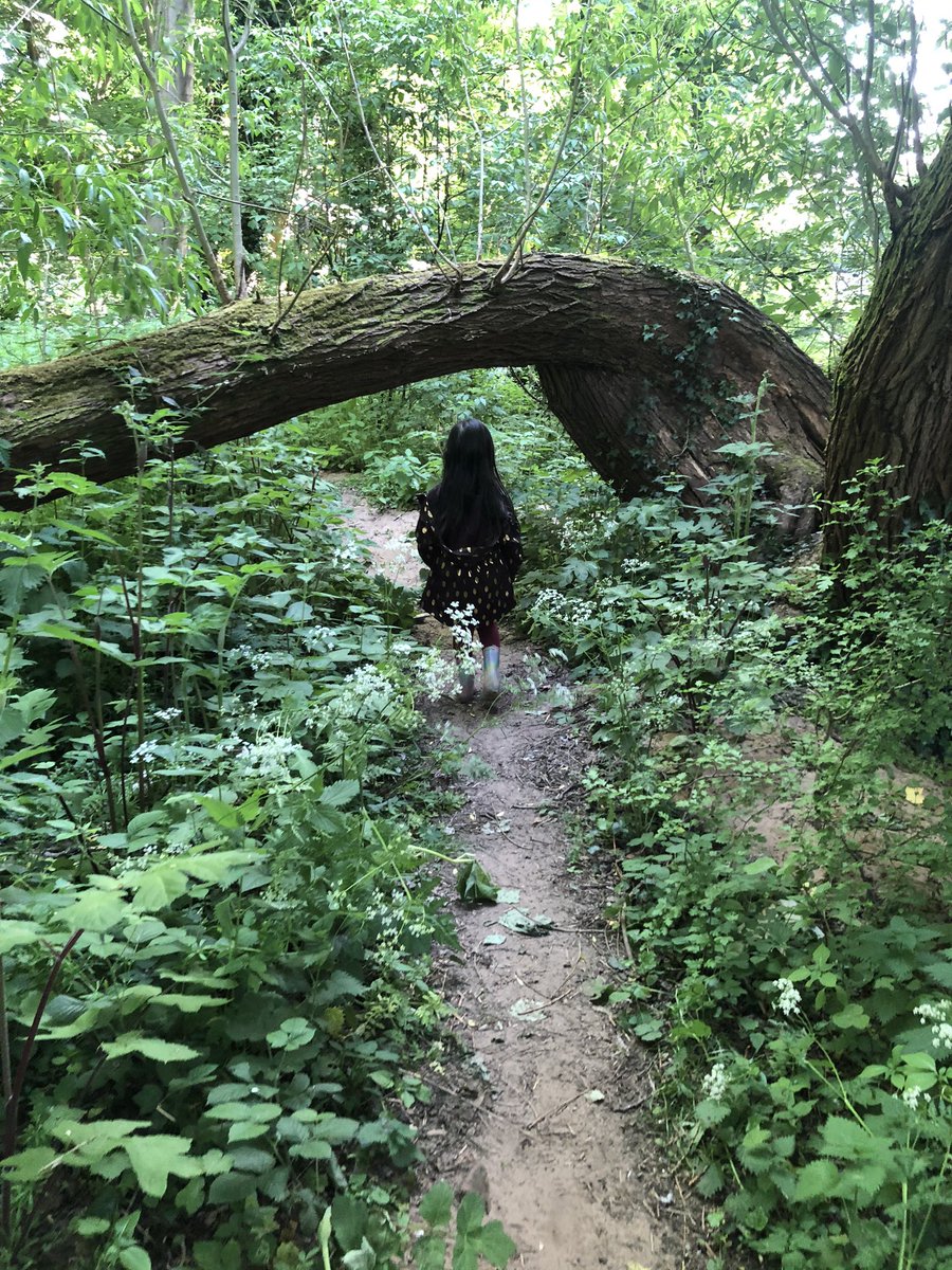 rijan44's tweet photo. Going on an adventure to the Enchanted Forest to see what we can see 😎
#CHPSY1 #CHPSFromHome #CHPSscience https://t.co/3TO5u9DpWr