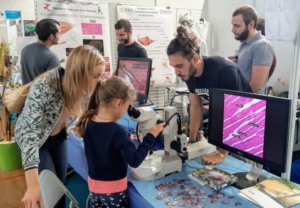INRAE_OC_MPL's tweet photo. #JeudiPhoto Stand de l'#UMRDMEM @INRAE_France @umontpellier au Village des Sciences de #Montpellier en octobre 2019 lors de la #FDS2019 @FeteScience.
💪👨‍🎓Les doctorants de l'unité présentaient leurs recherches sur le fonctionnement des #muscles.
https://t.co/vwupaMWOWl https://t.co/dfwJ6Bj3y8
