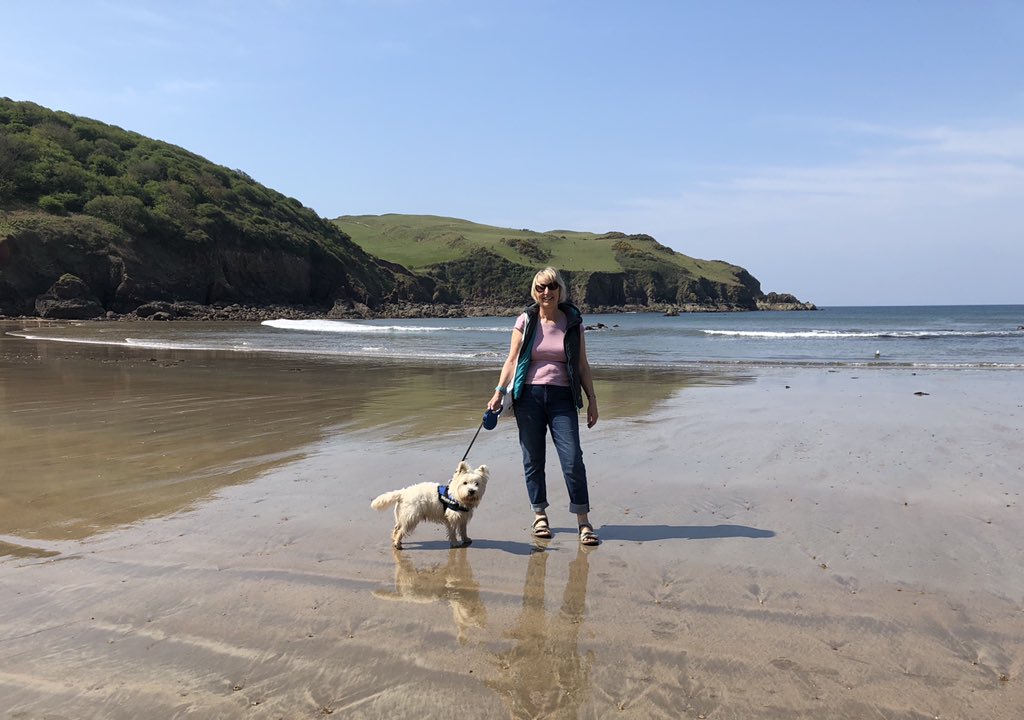 BPaxhaven's tweet photo. B&amp;B still closed but hope to reopen in early July! Looking forward to seeing both new &amp; repeat guests. Hope Cove looking great in the sunshine at the moment! #staycation #holidays #devon #bedandbreakfast https://t.co/pc0R7FXSpq