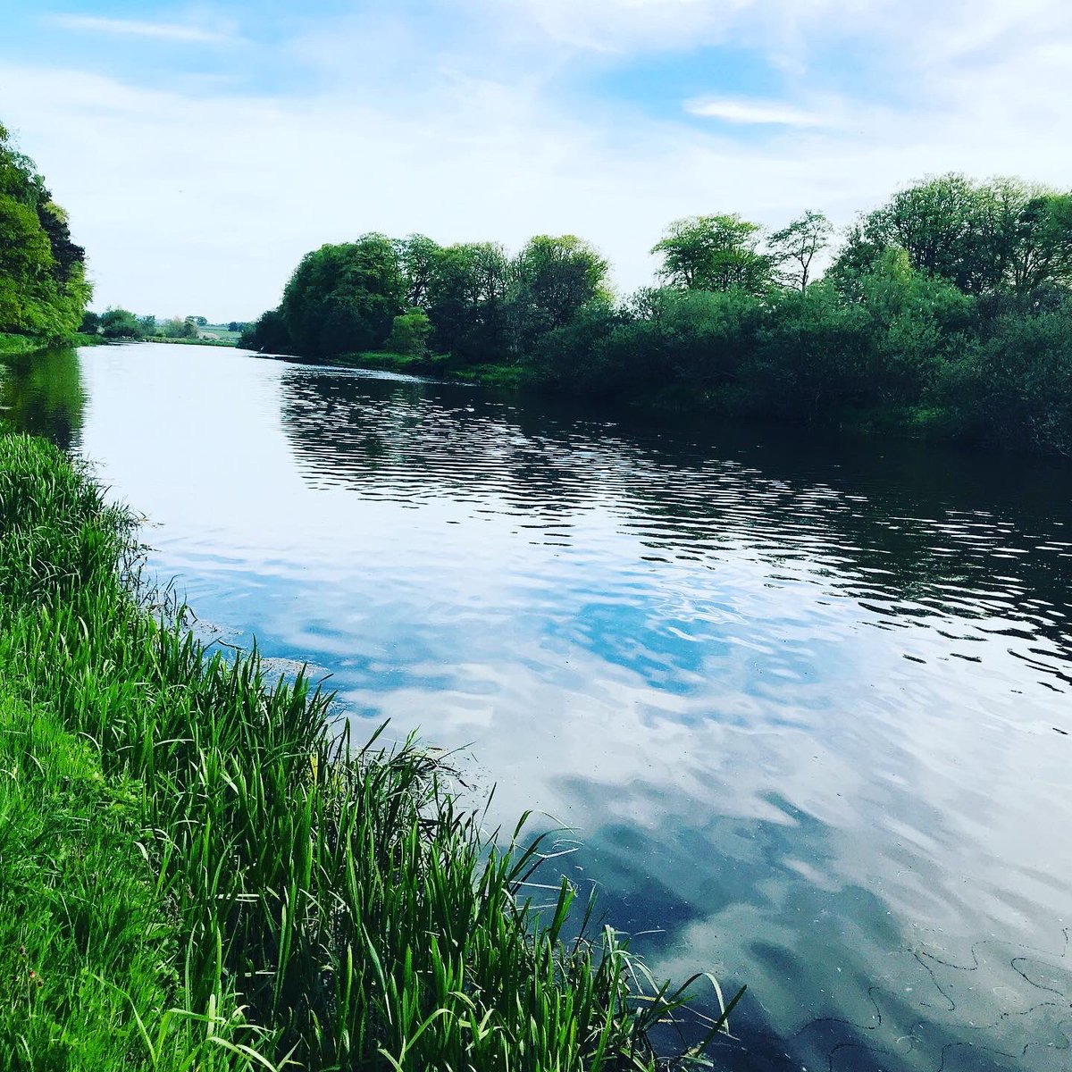 The River Don tweet media