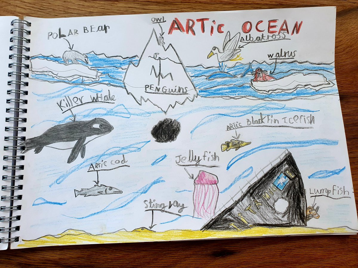 chamberlain2014's tweet photo. @Reginald_Elton Oliver has been exploring the World's Oceans this week https://t.co/oFGtc2iyWM