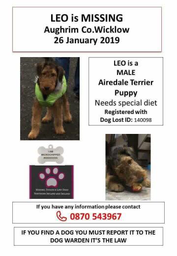 #LEO #StillMissing 26/01/2019 #Aughrim #CoWicklow    

#LEO was playing in the garden & Poof! was gone. 

#ForgetMeNot #IamStillOutThere #petTheftArmy 

@ballycoog @ballycoogue @MissingDogsIrl @PAWSIreland @IrlEmbOslo @SmallholderIRL @100MenIreland @PaulGoatireland